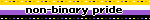 Non binary pride